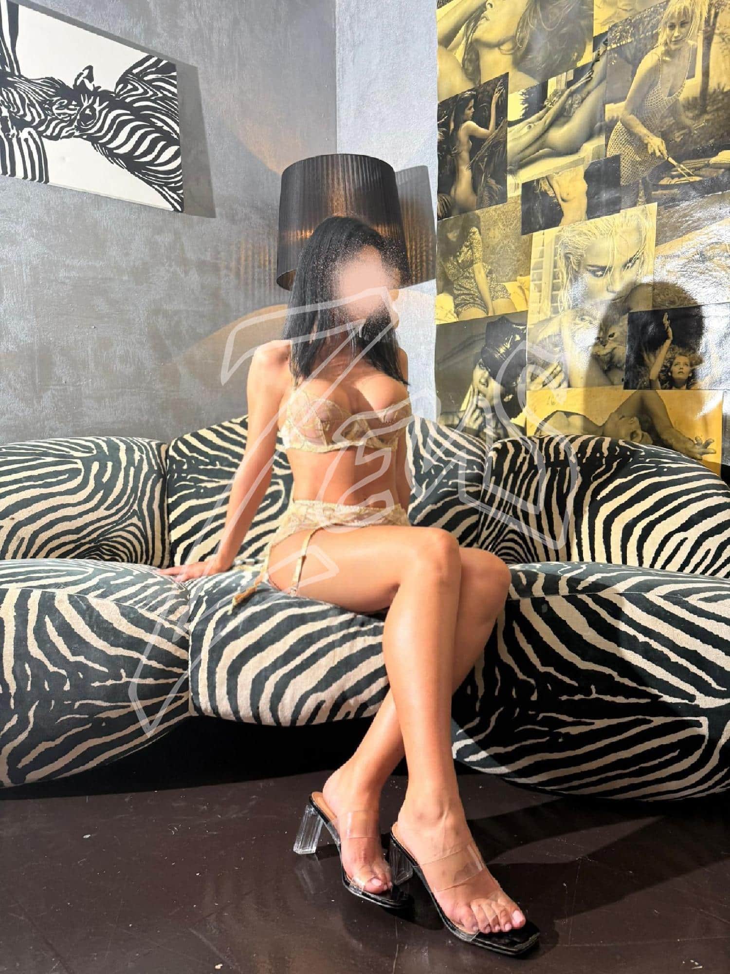 boxxx-7287929-