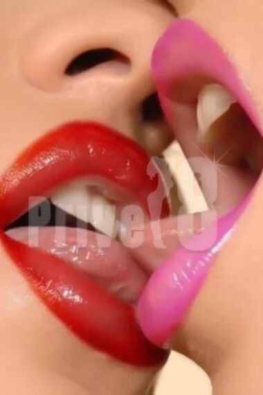 boxxx-3834388-